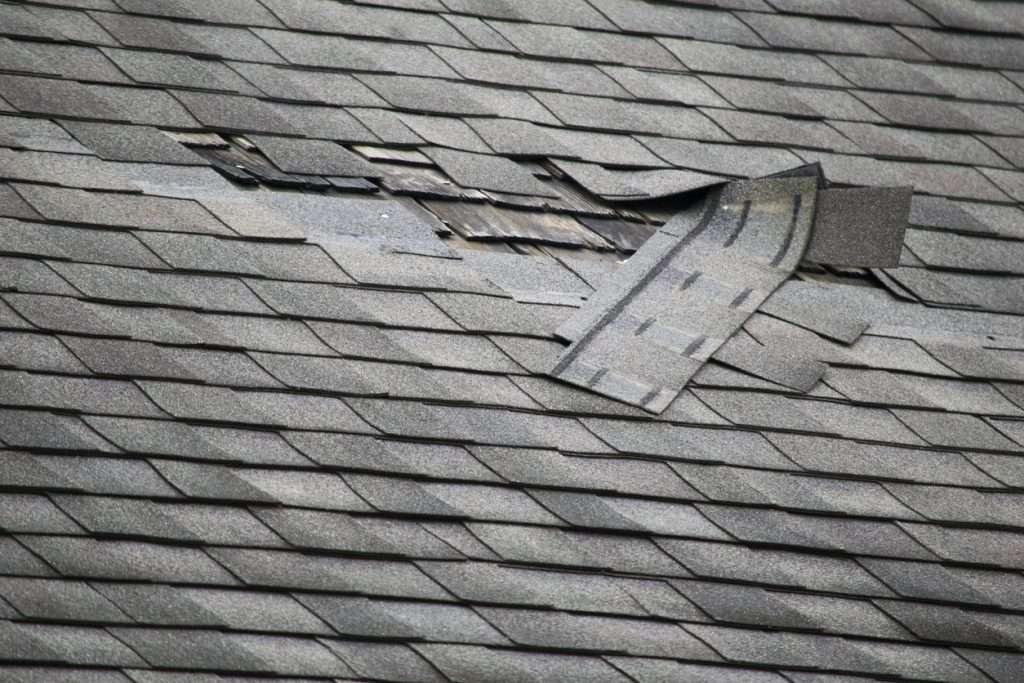 Damaged Roof Shingles | executive roofing stock image