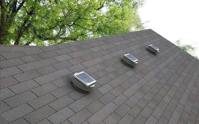 Roof with solar ventilation systems, showcasing shingles and tree canopy, emphasizing the importance of proper roof ventilation for residential roofing solutions.